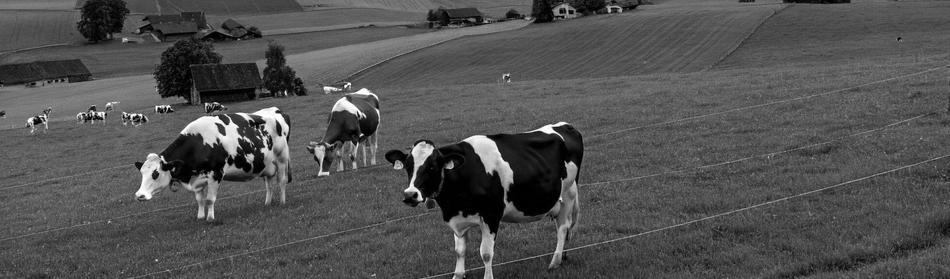 Illustration des "Travaux agricole", entreprises de travaux agricoles