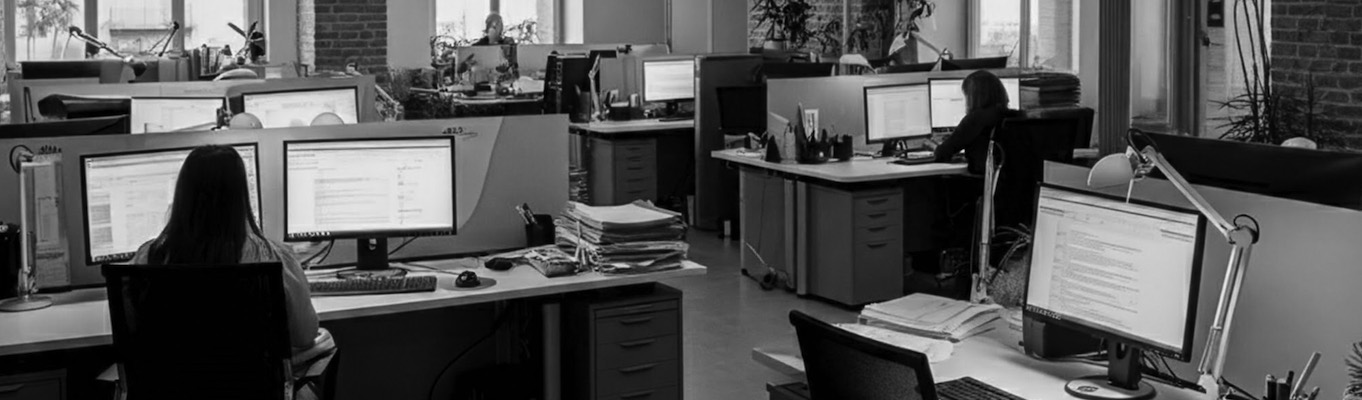 Illustration des "Consultants", entreprises de conseil