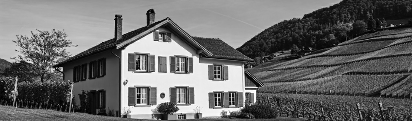 Illustration des "Exploitations de biens immobiliers", entreprises d'exploitation de biens immobiliers